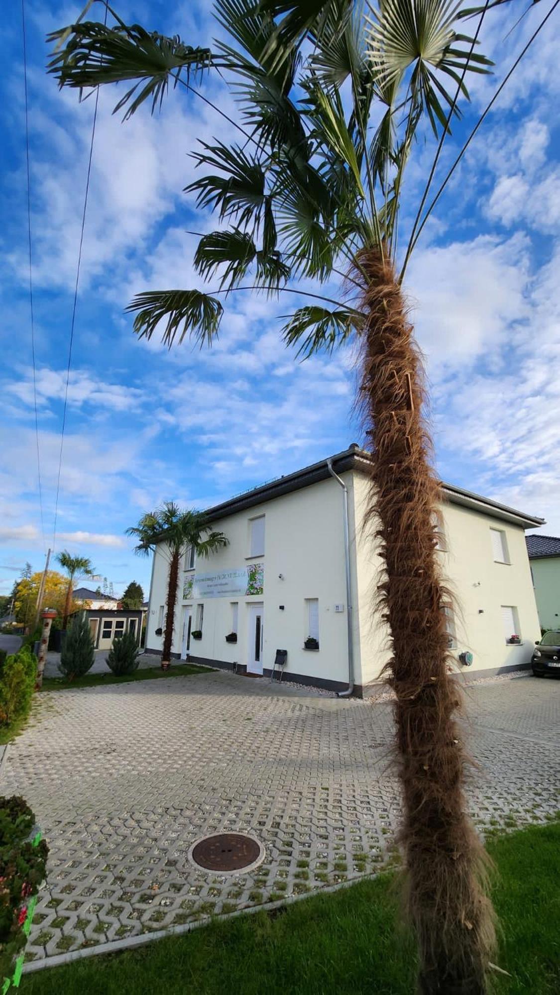 Ferienwohnungen Im Grund 22, 22A, 22C Birkenstein Hoppegarten Exterior foto